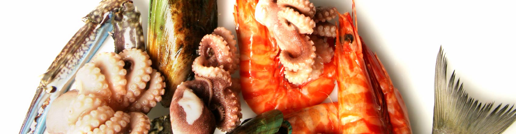 L'acciuga del Fanfaron Bistrot - ristorante di pesce